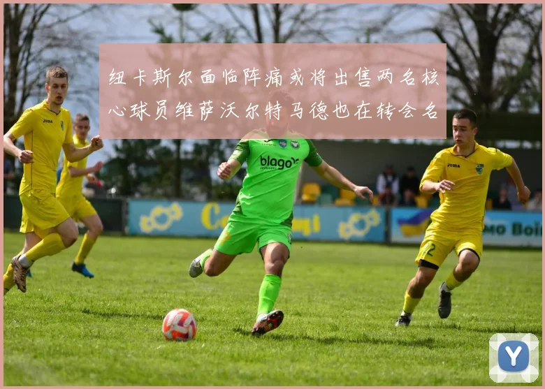 纽卡斯尔面临阵痛或将出售两名核心球员维萨沃尔特马德也在转会名单上