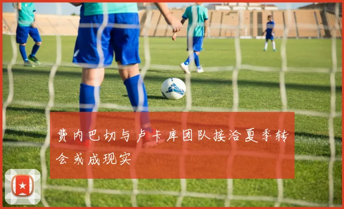 费内巴切与卢卡库团队接洽夏季转会或成现实